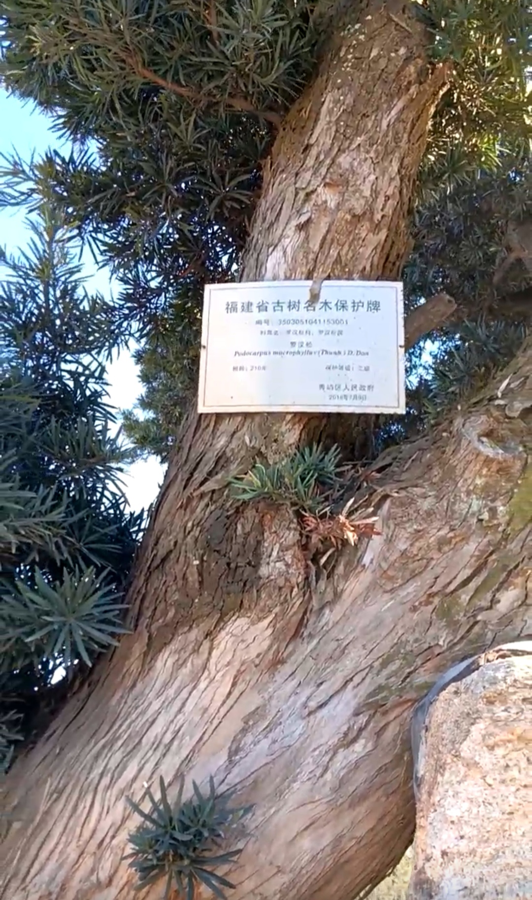 Screenshot_20220212_201255_edit_1006876794149782.jpg Screenshot_20220212_201255_edit_1006876794149782.jpg